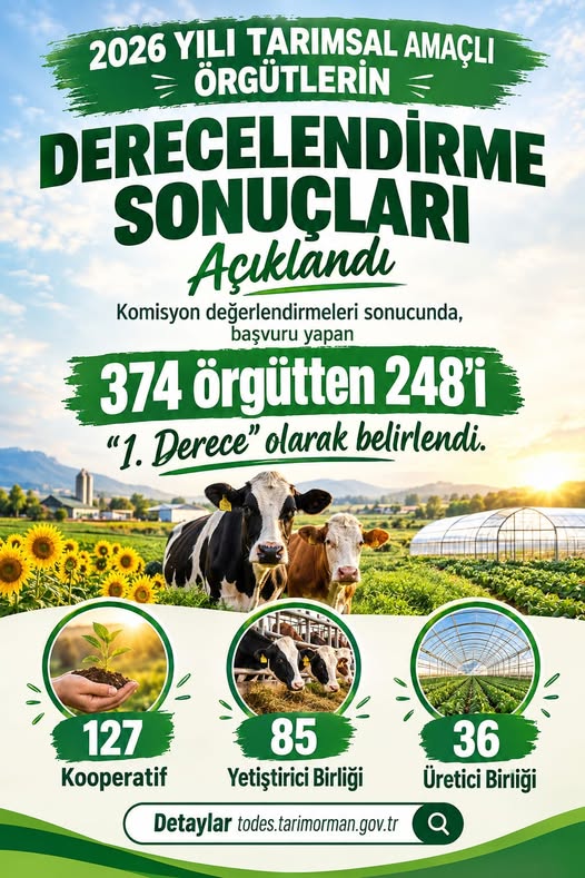 DERECELENDİRME SONUÇLARI