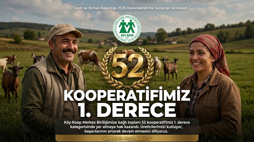 DERECELENDİRME 